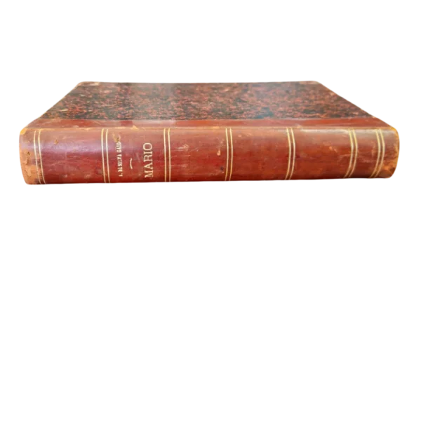 Mario – Episódios das Lutas Civis Portuguesas (1820-1834) – A. da Silva Gayo – 3ª Edição – 1901